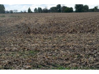 Property photo 43 - EHLE FARMS AUCTION - 118+/- ACRES IN 9 TRACTS IN ALLEN COUNTY, INDIANA